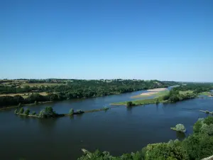 sobre o Loire e Ile Neuve em Champalud