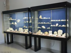 Urgonia Museum - Geologie