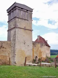 Château d'Oricourt