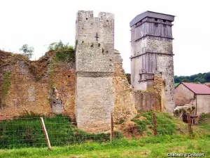 Château d'Oricourt