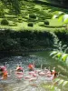 源泉の花公園のフラミンゴ（©J. Danet）