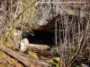 Bonnevaux-le-Prieuré - Entrée de la grotte de Plaisir-Fontaine (© Jean Espirat)