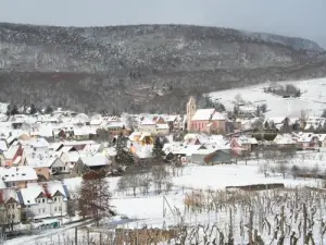 The village seen from Bollenberg