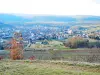 Orschwihr - Tourism, holidays & weekends guide in the Haut-Rhin