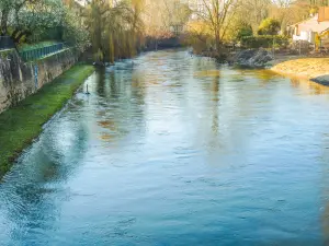 La Fecht en amont du pont d'Ostheim (© J.E)