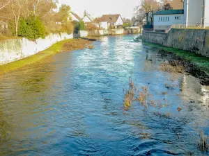 La Fecht, en aval du pont (© J.E)