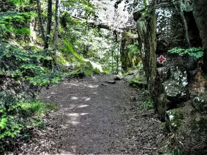 Fossé sud-est du château (© J.E)