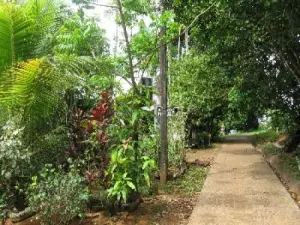 Une allée de promenade