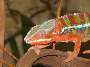 Parque zoológico em Padirac