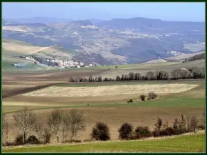 Vue depuis le plateau de Pardines - Vue sur la Limagne