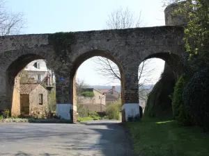 Entrada del castillo