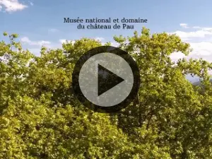 Videopresentatie van het nationale museum- en kasteelgebied van Pau