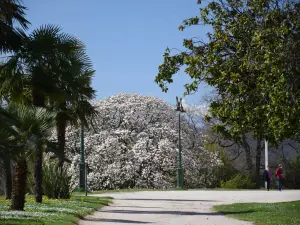 Beaumont Park