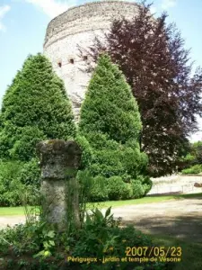Jardim e templo de Vésone