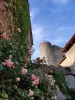 Tour de guet à Pérouges (© Sabrina Megani)