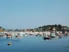 Perros-Guirec - Port of Ploumanac'h