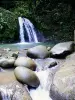 Cascada con cangrejo de río - Petit-Bourg - Guadalupe