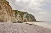 Cliffs of Saint-Martin-en-Campagne