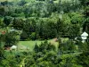 Sitio de picnic y zona de recreo de los relés