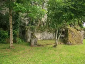 Cave dwelling: Prehistoric deposit