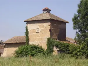 Palomero (OT © Chalaronne Saone Valley)