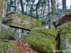 Mesa de los Druidas (© Jean Espirat)