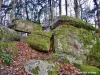 Mesa de los Druidas (© Jean Espirat)