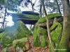 Mesa dos Druidas, vista de baixo (© Jean Espirat).