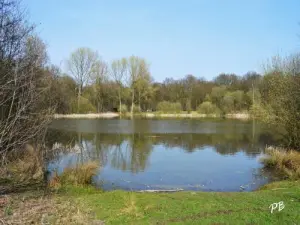 L'étang