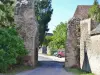 Руины замка и ворот двенадцатого века