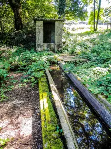 Old washhouse of Coulvot (© J.E)