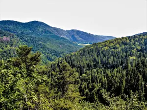 Vallée de la Revérotte, vue du belvédère Lamadou (© J.E)