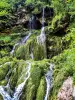 Cascada del molino de Vermondans (© JE)