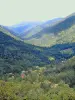 Panorama sur la vallée, depuis la route de Belfahy (© Jean Espirat)