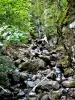 Plancher-les-Mines - Quarto cascata Gout des Saules (© J.E)