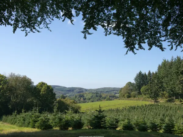 Planchez Tourism, Holidays & Weekends