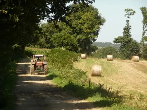 Plaudren - Guida turismo, vacanze e weekend nel Morbihan