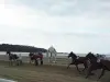 Pferderennen in St. Efflam