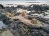 Sandcastles at the Roche d'Argent beach