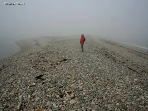 霧の中のタルバート溝（©J.E）