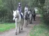Конные прогулки на пони