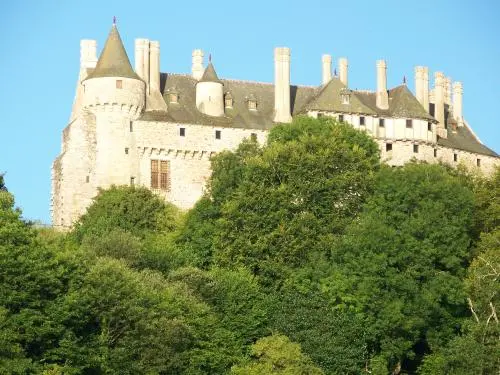 城のLa Roche-Jagu - モニュメントのPloëzal