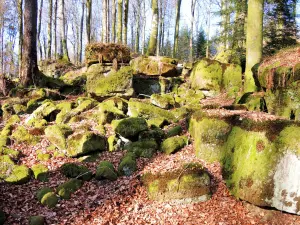 Caos rocoso de la ladera sur, bajo el castillo de las hadas en Clairefontaine (© Jean Espirat)