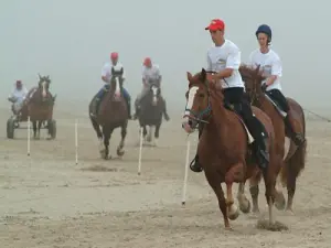 Paardenrennen Kernic Bay (© Veronique Le Velly)