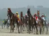 Carreras de Caballos (© Véronique Le Velly )