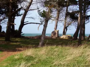 Sentiero escursionistico, Pointe du Château