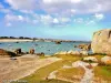 Plounéour-Brignogan-plages - Tourism, holidays & weekends guide in the Finistère