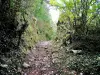Chemin antique, vers la Pierre qui Vire (© Jean Espirat)