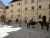 Horseback riding in the magnificent Ursulines courtyard