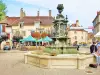 Fontaine, place des déportés (© Jean Espirat)